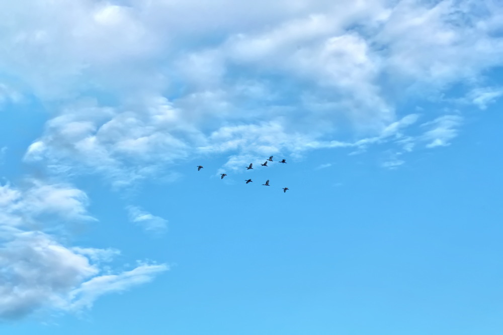 Фотографія В небі над Венецією.. / Ірина Кулікова / photographers.ua