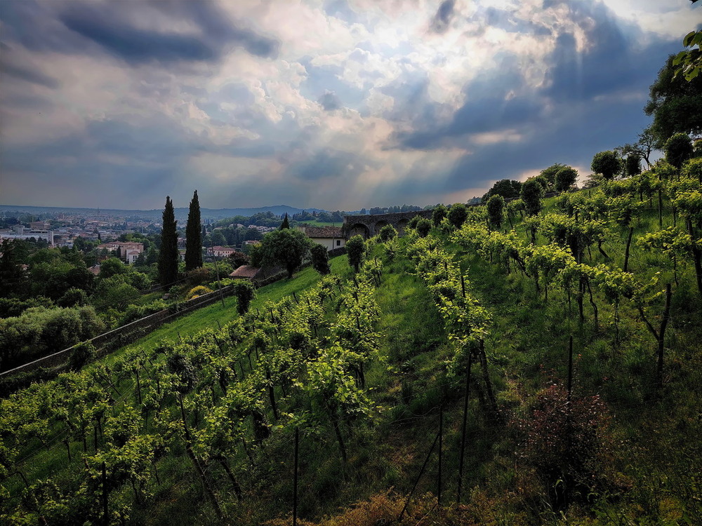 Фотографія І знов до сонця.. / Ірина Кулікова / photographers.ua