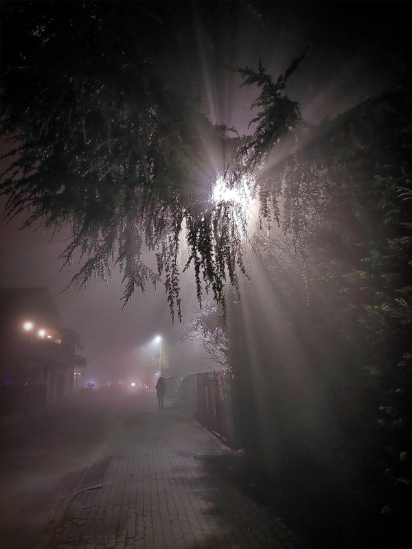 Фотографія Туманна замальовка / Ірина Кулікова / photographers.ua