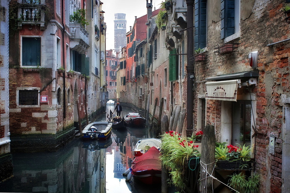 Фотографія Трохи туманно.. / Ірина Кулікова / photographers.ua