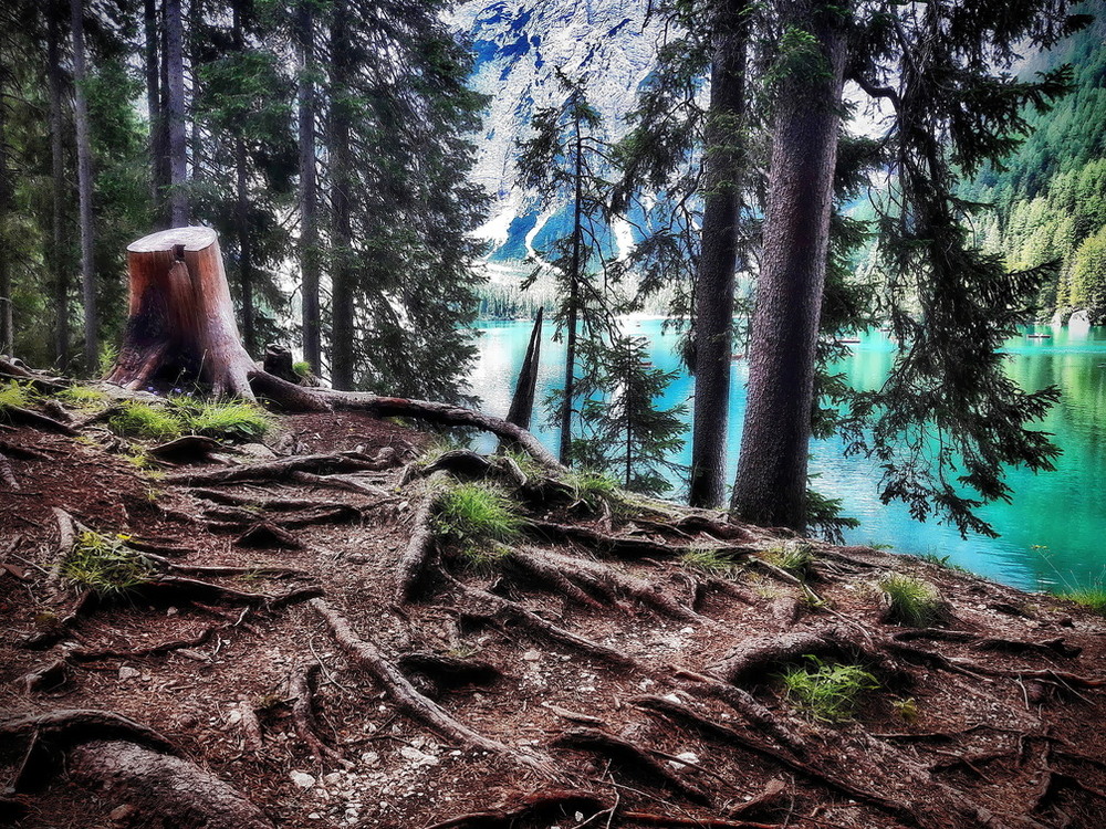 Фотографія Погляд на гірське озеро.. / Ірина Кулікова / photographers.ua