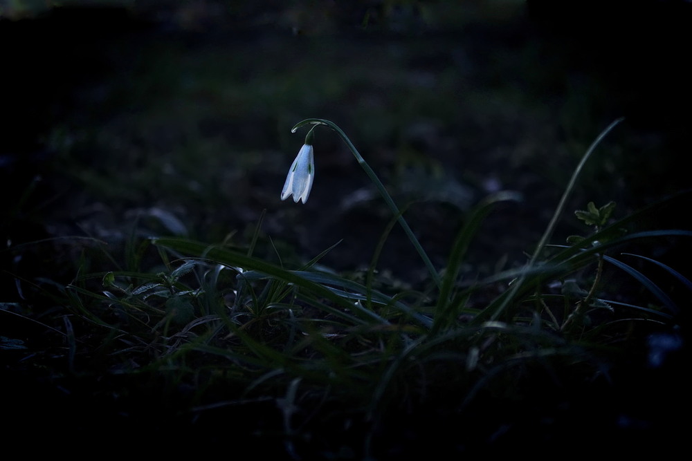 Фотографія З надією / Ірина Кулікова / photographers.ua