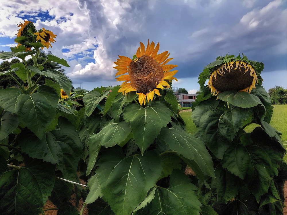 Фотографія Троє.. / Ірина Кулікова / photographers.ua