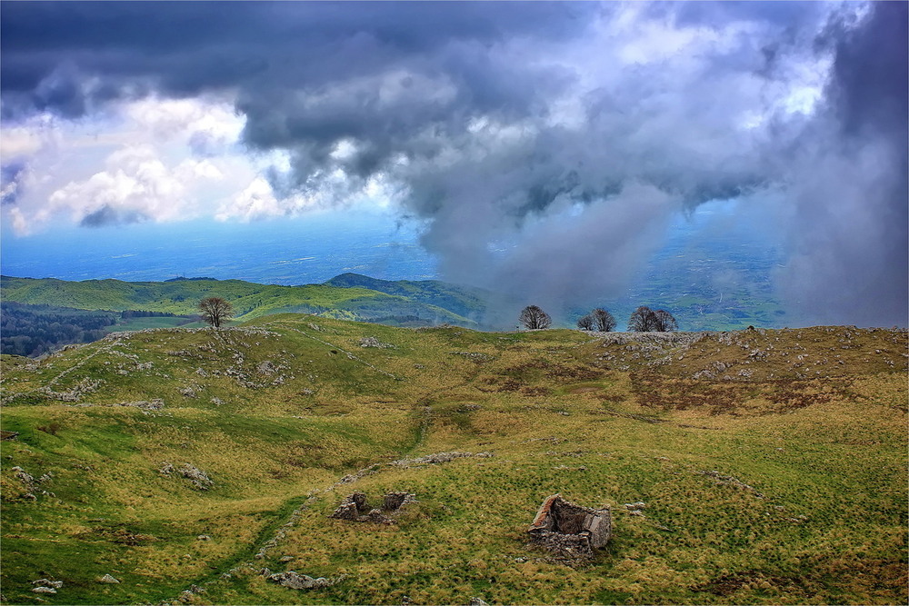 Фотографія Ранньо-хмарною весною.. / Ірина Кулікова / photographers.ua