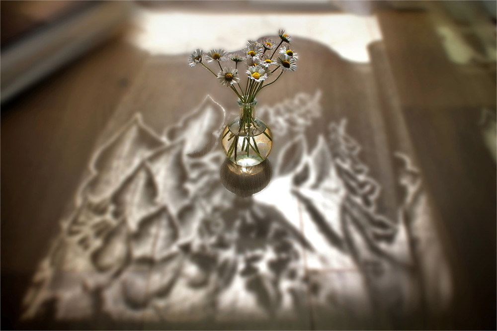 Фотографія Сонячні ігри / Ірина Кулікова / photographers.ua