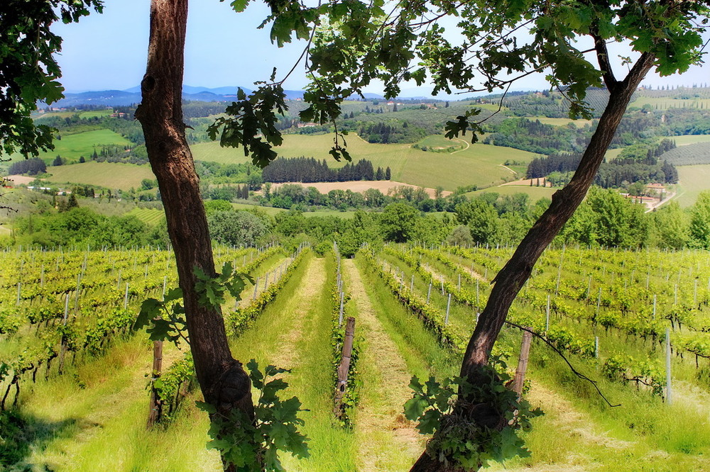 Фотографія Підглядалки.. / Ірина Кулікова / photographers.ua