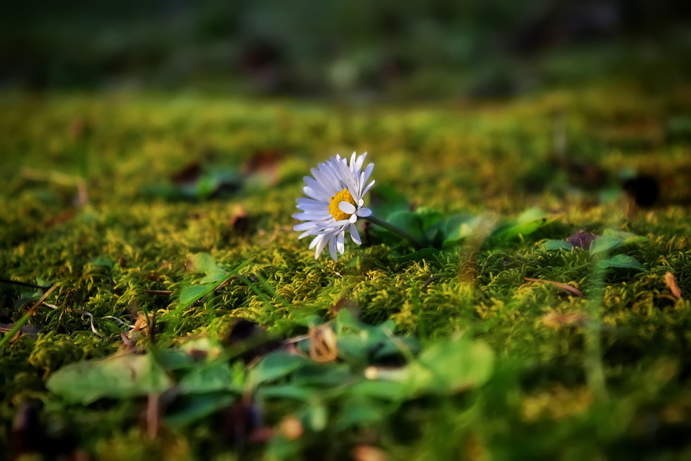 Фотографія Відкрита світу.. / Ірина Кулікова / photographers.ua