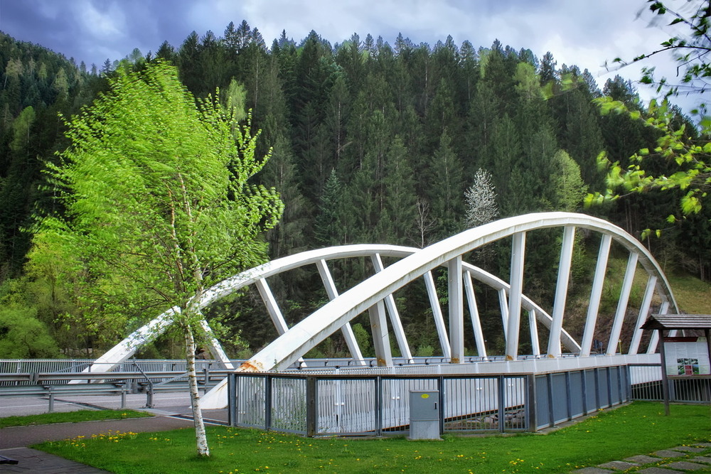 Фотографія Біля чорного-чорного лісу.. / Ірина Кулікова / photographers.ua