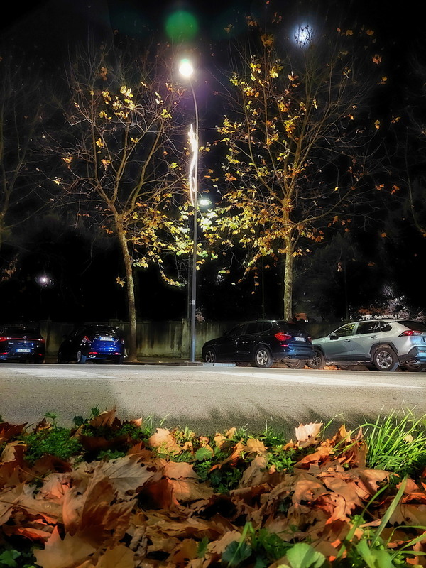 Фотографія Залишилось з осені.. / Ірина Кулікова / photographers.ua