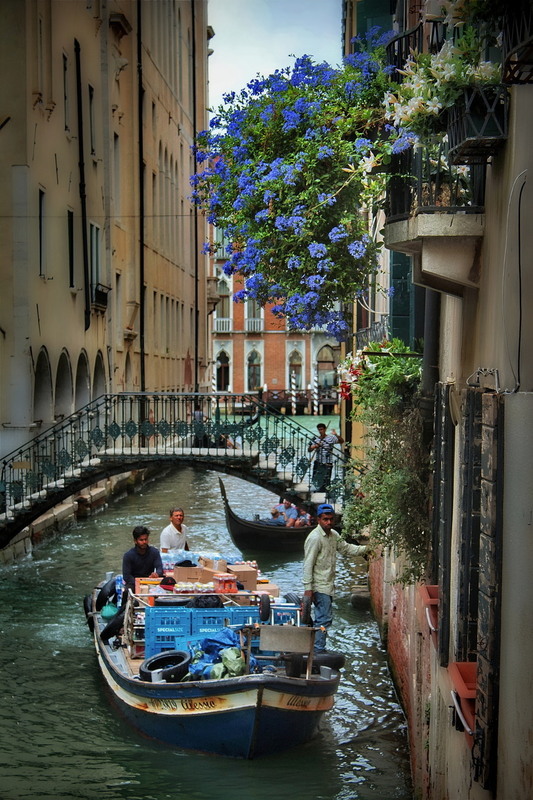 Фотографія Блакитна ніжність, що серце зігріє.. / Ірина Кулікова / photographers.ua