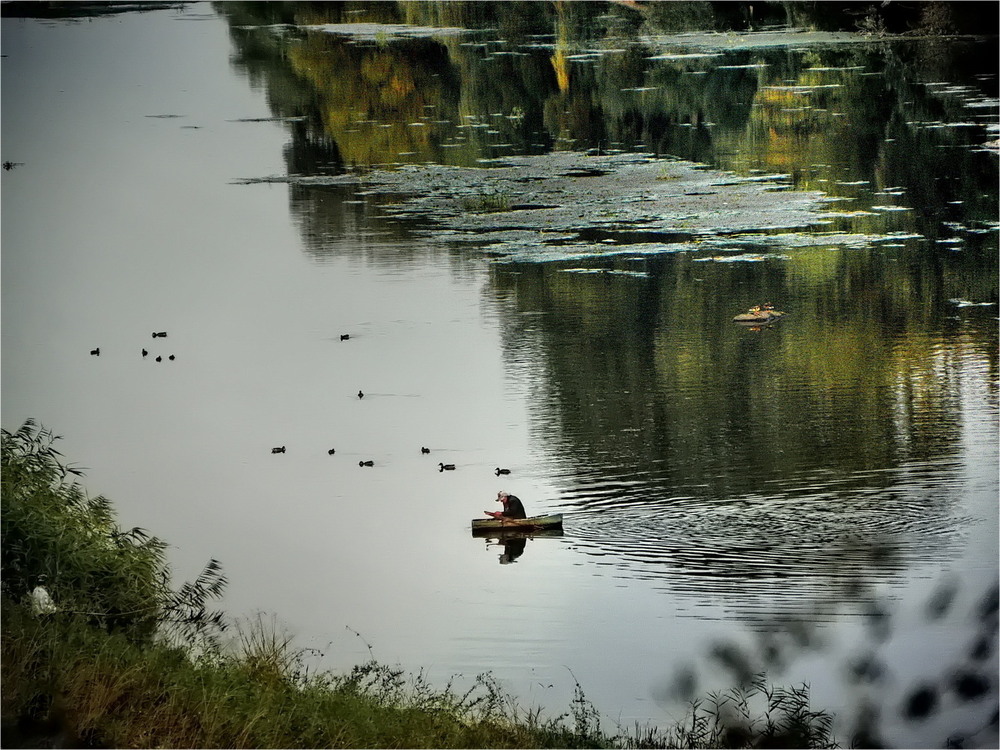 Фотографія Рибалка та качки.. / Ірина Кулікова / photographers.ua