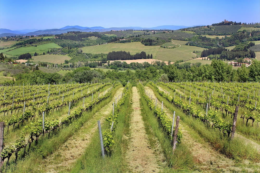 Фотографія Під сонцем Тоскани.. / Ірина Кулікова / photographers.ua
