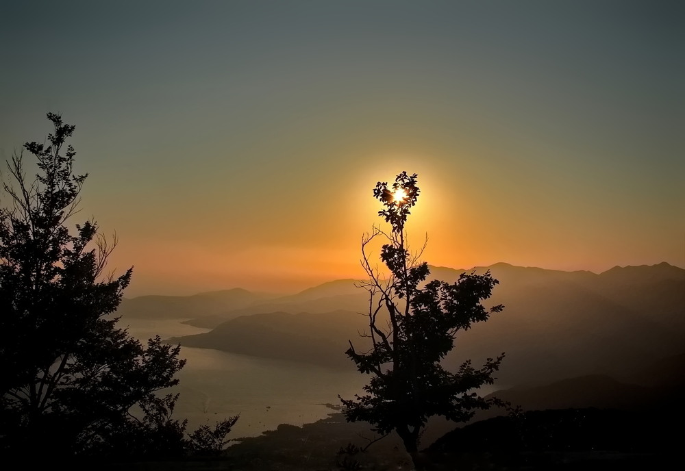 Фотографія Вечірнє сонце / Ірина Кулікова / photographers.ua