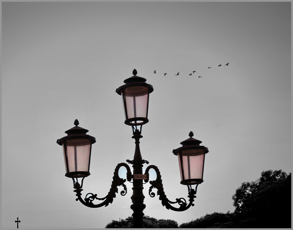 Фотографія *** / Ірина Кулікова / photographers.ua