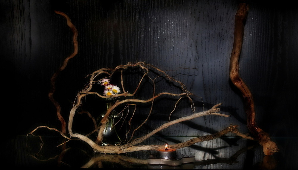 Фотографія Принесло море гіллячки... / Ірина Кулікова / photographers.ua