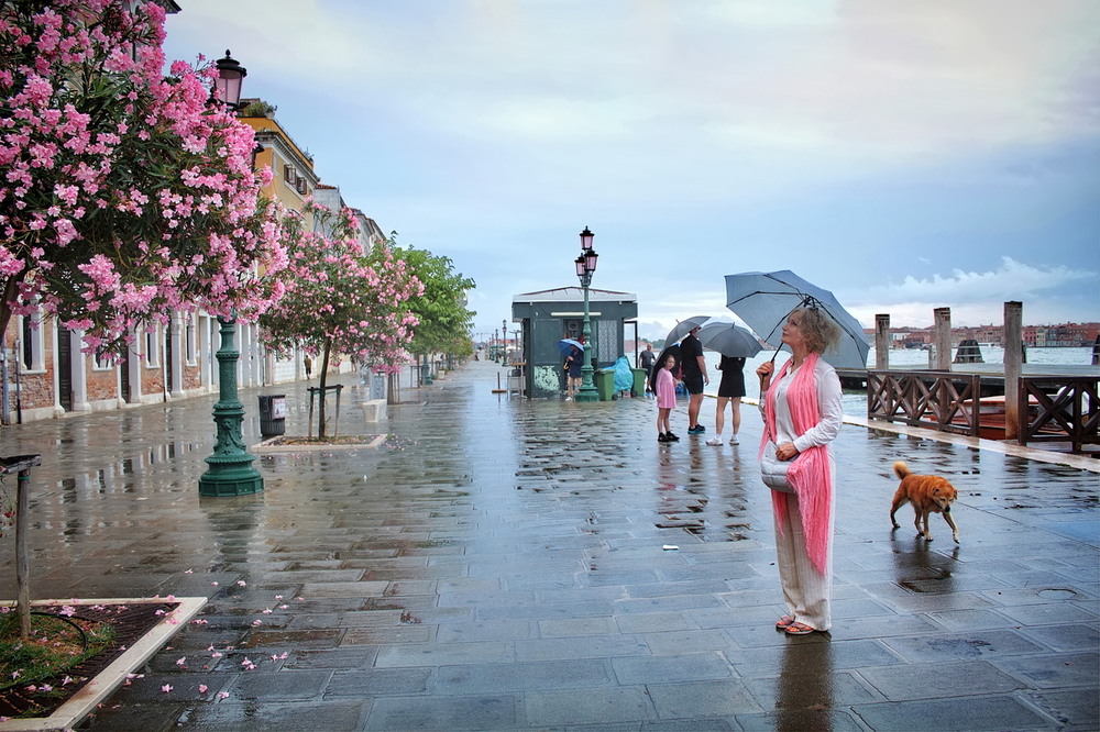 Фотографія Рожева шалька, блакитна парасоля і песик.. / Ірина Кулікова / photographers.ua