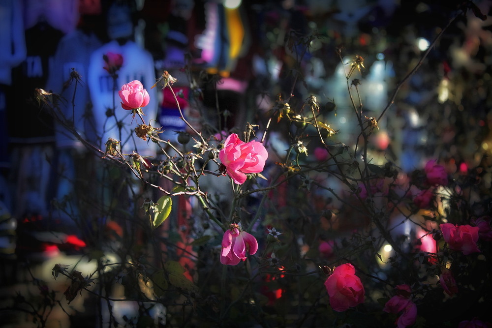 Фотографія Штрих.. / Ірина Кулікова / photographers.ua