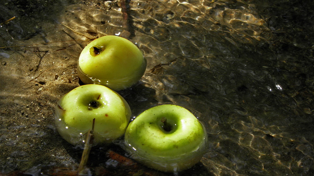 Фотографія Яблука в джерелі. Нападали з яблуні, яка росте над ним. / Ірина Кулікова / photographers.ua