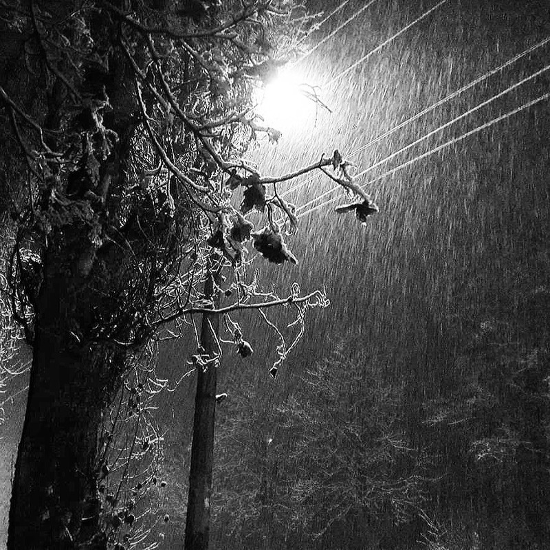 Фотографія Йшов перший сніг.. / Ірина Кулікова / photographers.ua