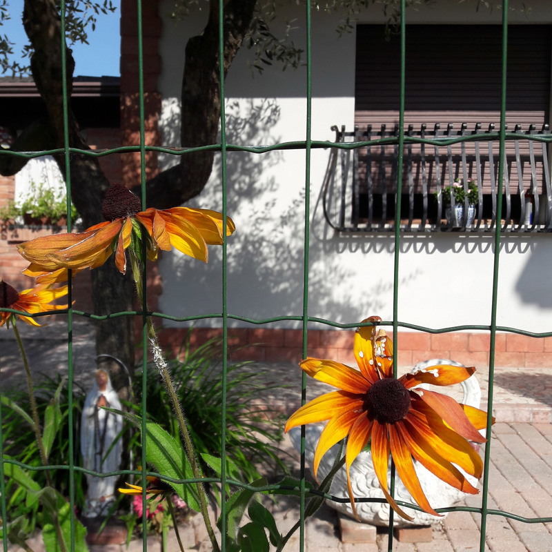 Фотографія *** / Ірина Кулікова / photographers.ua