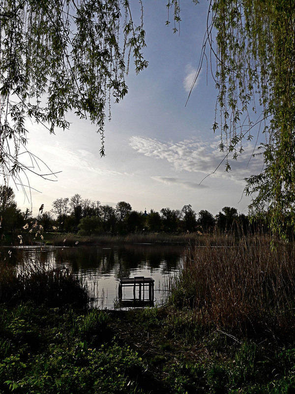 Фотографія В старому парку над річкою / Ірина Кулікова / photographers.ua
