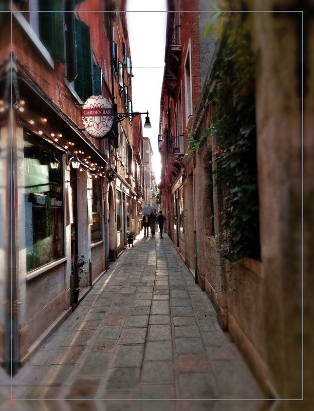 Фотографія Вечірній сонячний дощ.. / Ірина Кулікова / photographers.ua