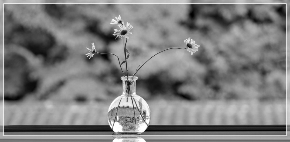 Фотографія *** / Ірина Кулікова / photographers.ua