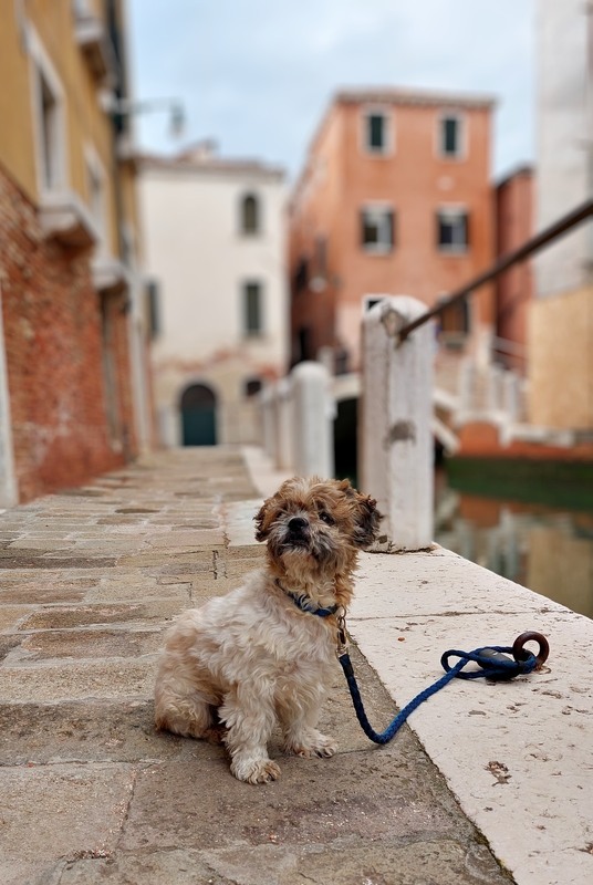 Фотографія Чекання.. / Ірина Кулікова / photographers.ua