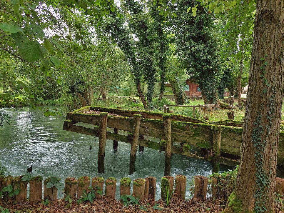 Фотографія Рибний ставок / Ірина Кулікова / photographers.ua