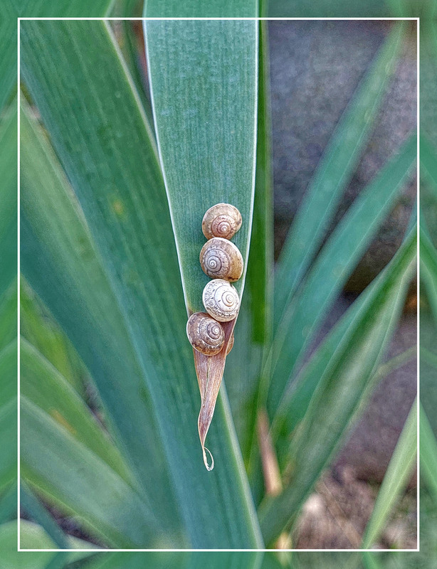 Фотографія Вчотирьох / Ірина Кулікова / photographers.ua