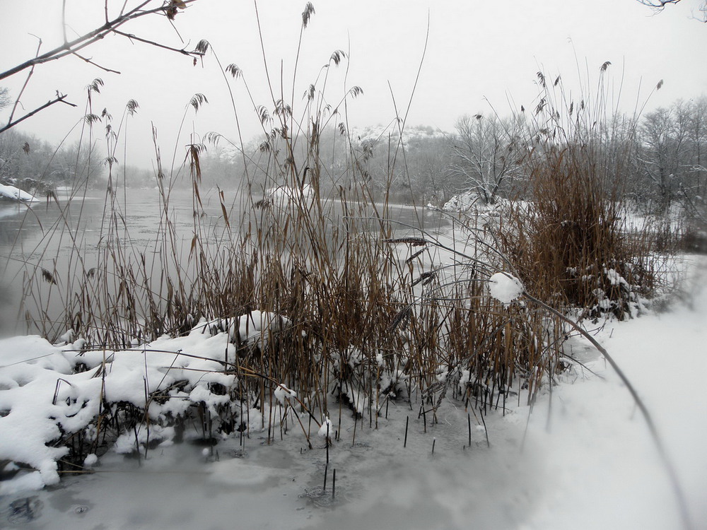 Фотографія І знову зима.. / Ірина Кулікова / photographers.ua