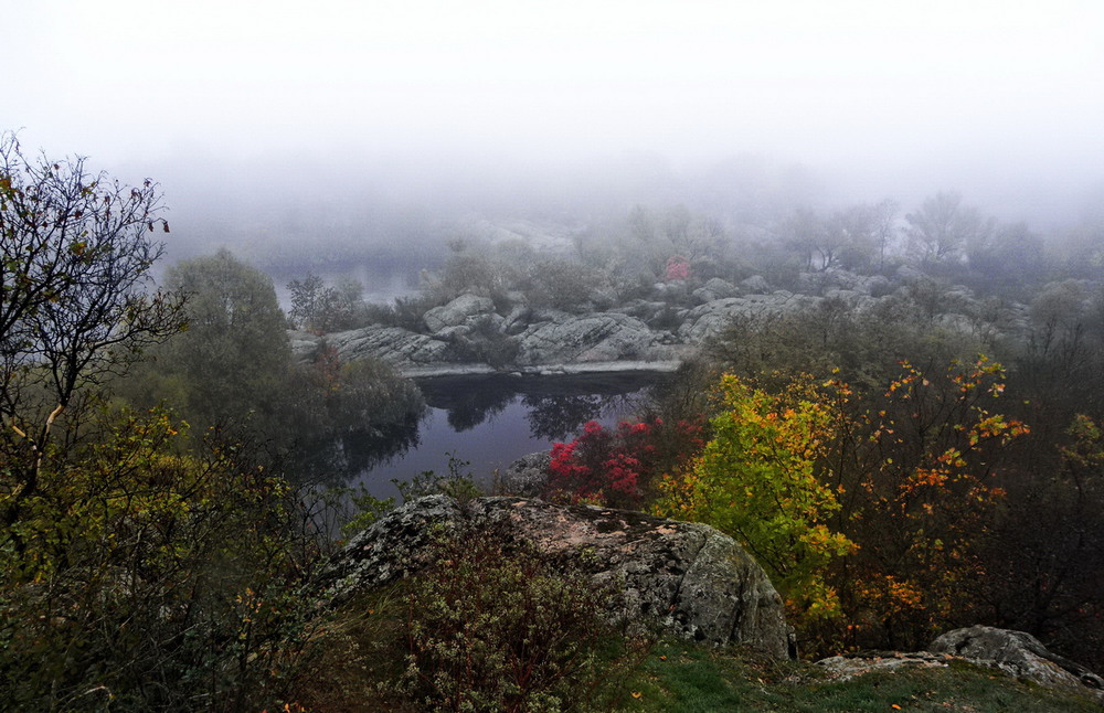 Фотографія Осінь барвами з туману виступає.. / Ірина Кулікова / photographers.ua