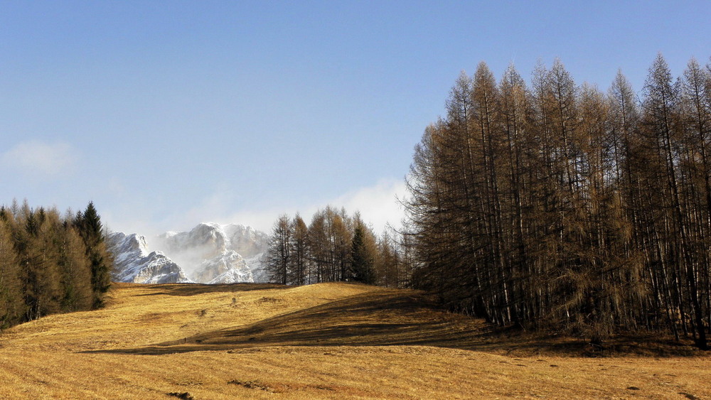 Фотографія Cortina d'Amprezzo / Ірина Кулікова / photographers.ua