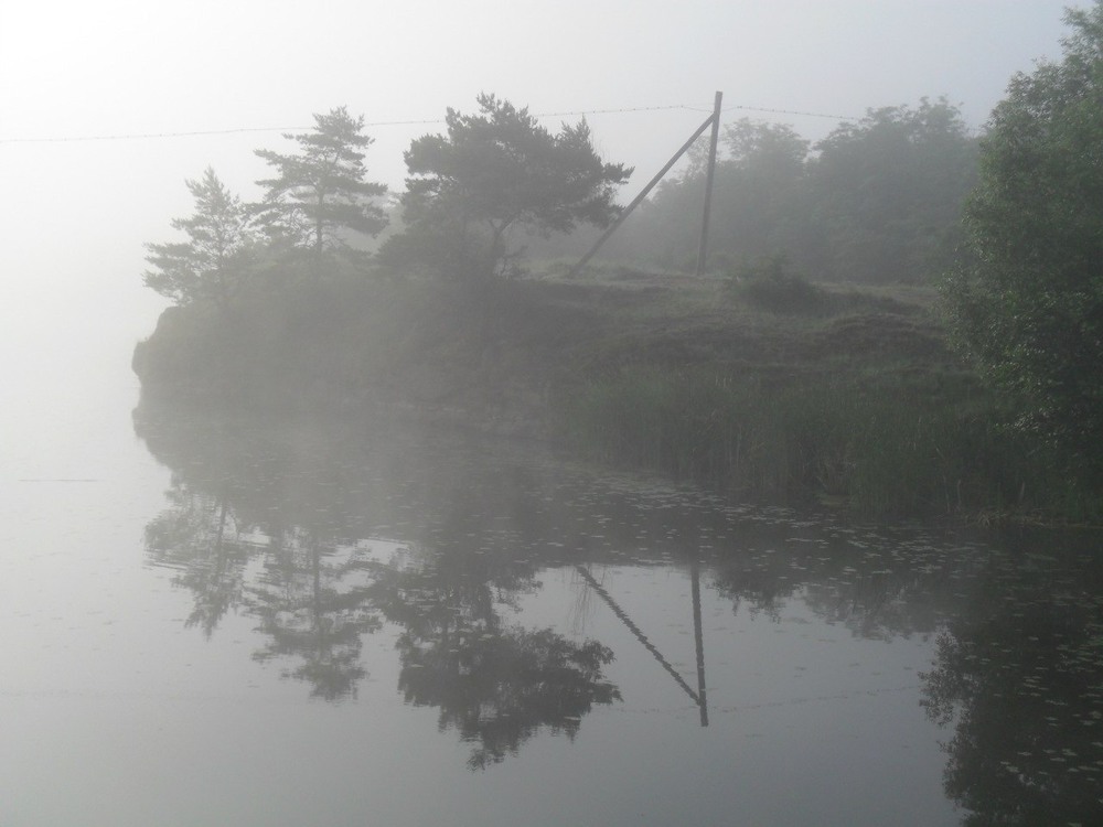 Фотографія Ранковий туман над рікою / Дмитро Немировський / photographers.ua