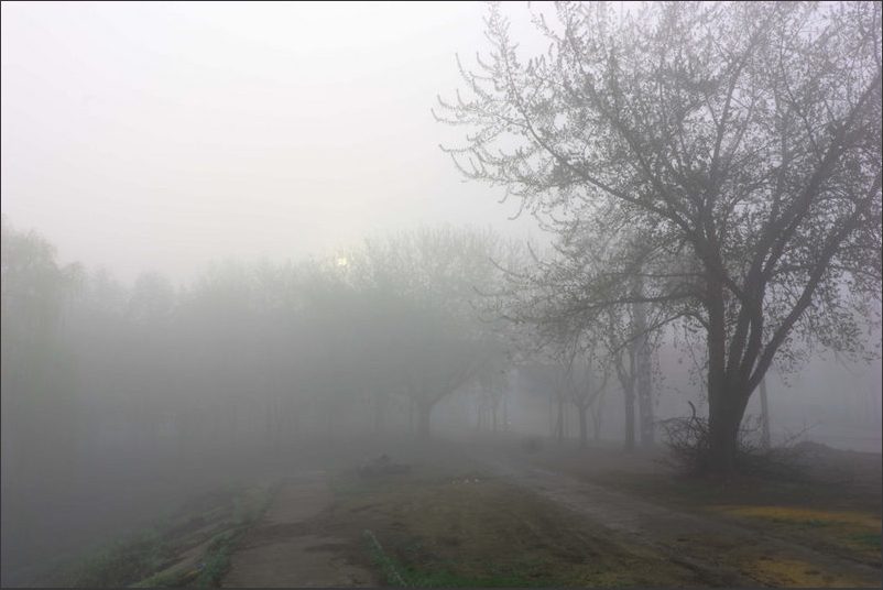 Фотографія Утро, туман / Вячеслав Кузнецов / photographers.ua