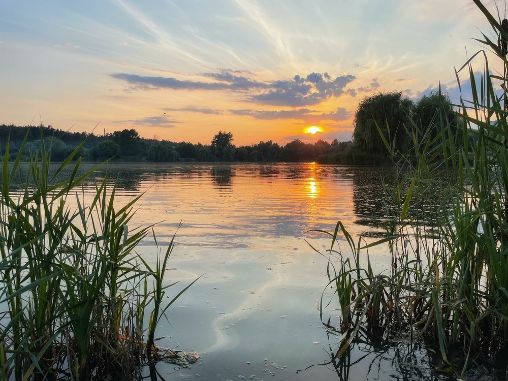 Фотографія Захід сонця на озері у Святошин / Vladini / photographers.ua