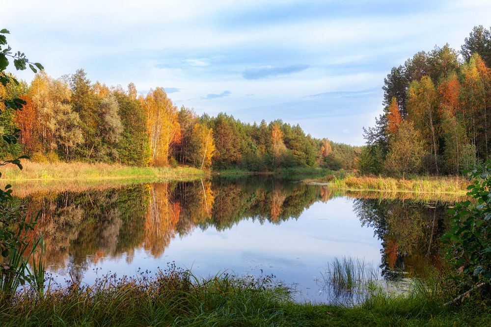Фотографія Осень на лесном озере / Vladini / photographers.ua