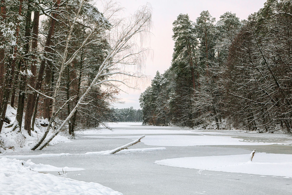 Фотографія Уснуло озеро, безмолвен лес.. / Vladini / photographers.ua