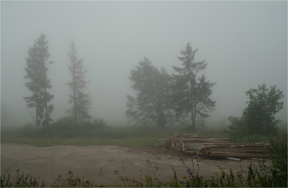 Фотографія Туманное утро / Insterburg / photographers.ua