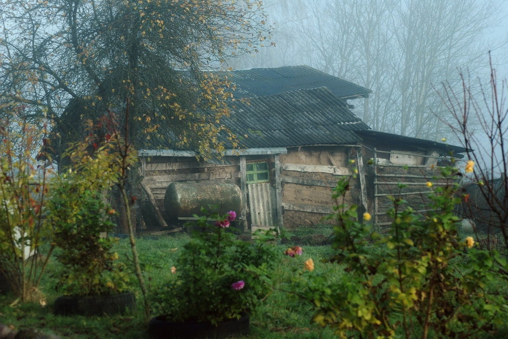 Фотографія А на деревне Осень / Insterburg / photographers.ua
