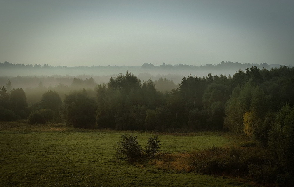 Фотографія Вот и Осень / Insterburg / photographers.ua