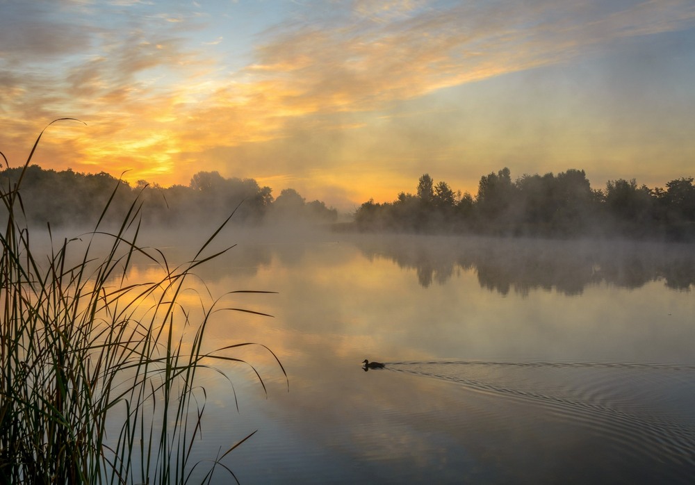 Фотографія Пейзаж / Валентин Широков / photographers.ua