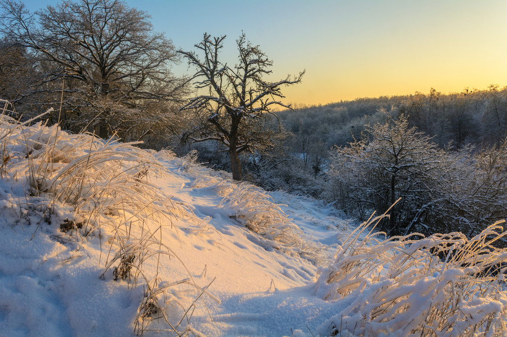 Фотографія Пейзаж / Валентин Широков / photographers.ua
