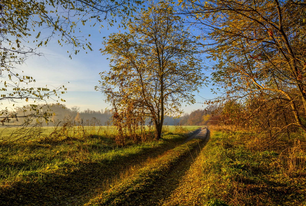Фотографія Пейзаж / Валентин Широков / photographers.ua