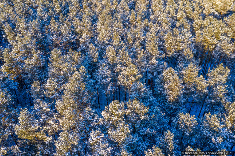 Фотографія Моменти сніжної зими / Serhii Hrynkevych / photographers.ua