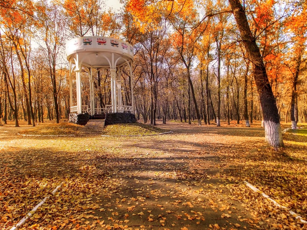 Фотографія Малює жовтень багрянисту осінь… / Alex 31 / photographers.ua