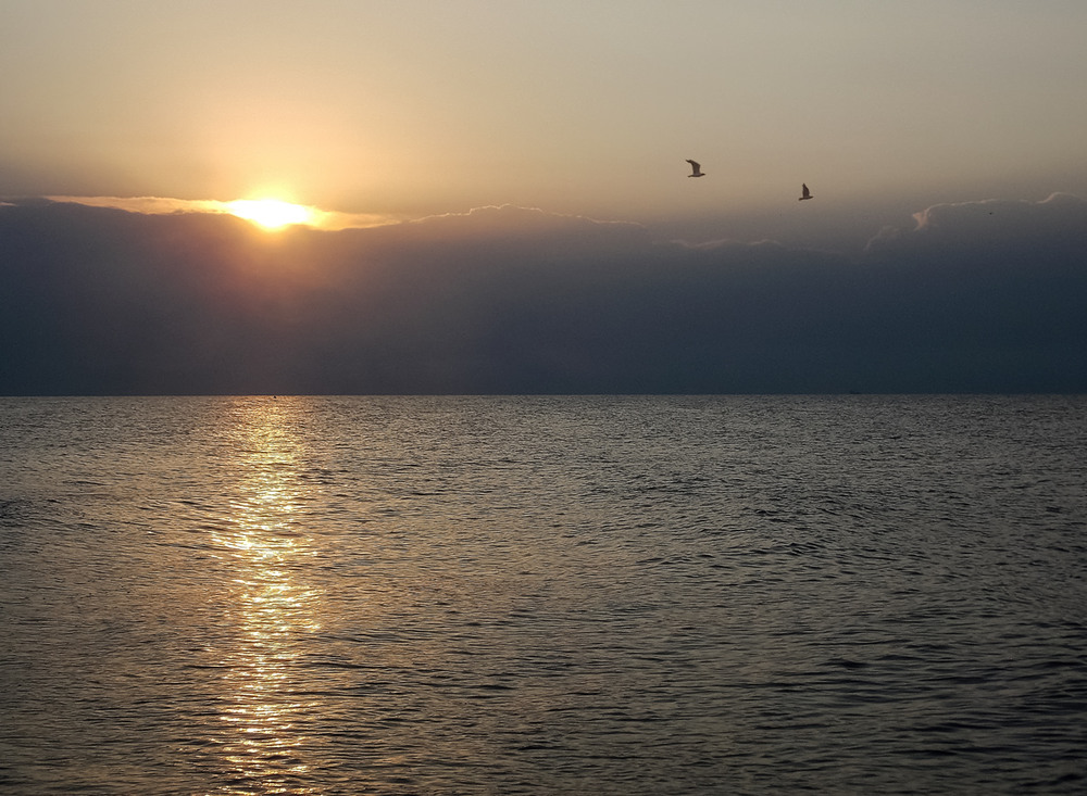 Фотографія Тиша. Море. Світанок. / Alex 31 / photographers.ua