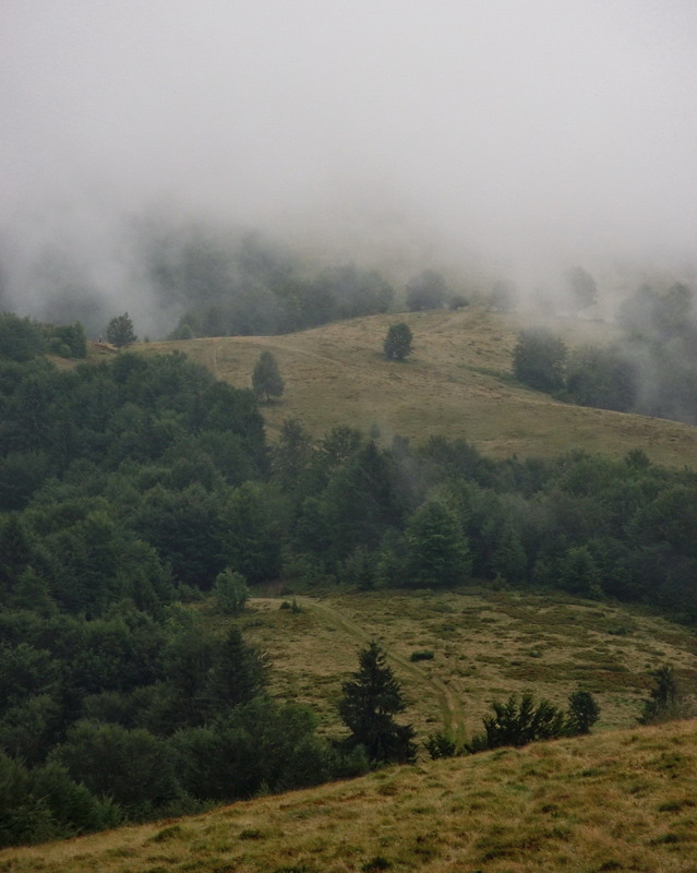 Фотографія Peace of mind... / Roman Kushnirenko / photographers.ua