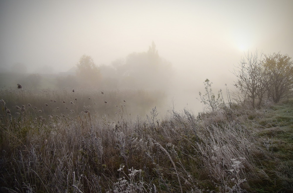 Фотографія Туманное утро ... / Александр Харланов / photographers.ua