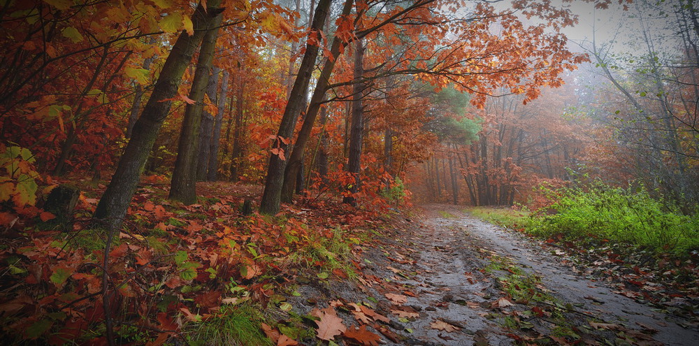 Фотографія Пейзаж / Александр Харланов / photographers.ua